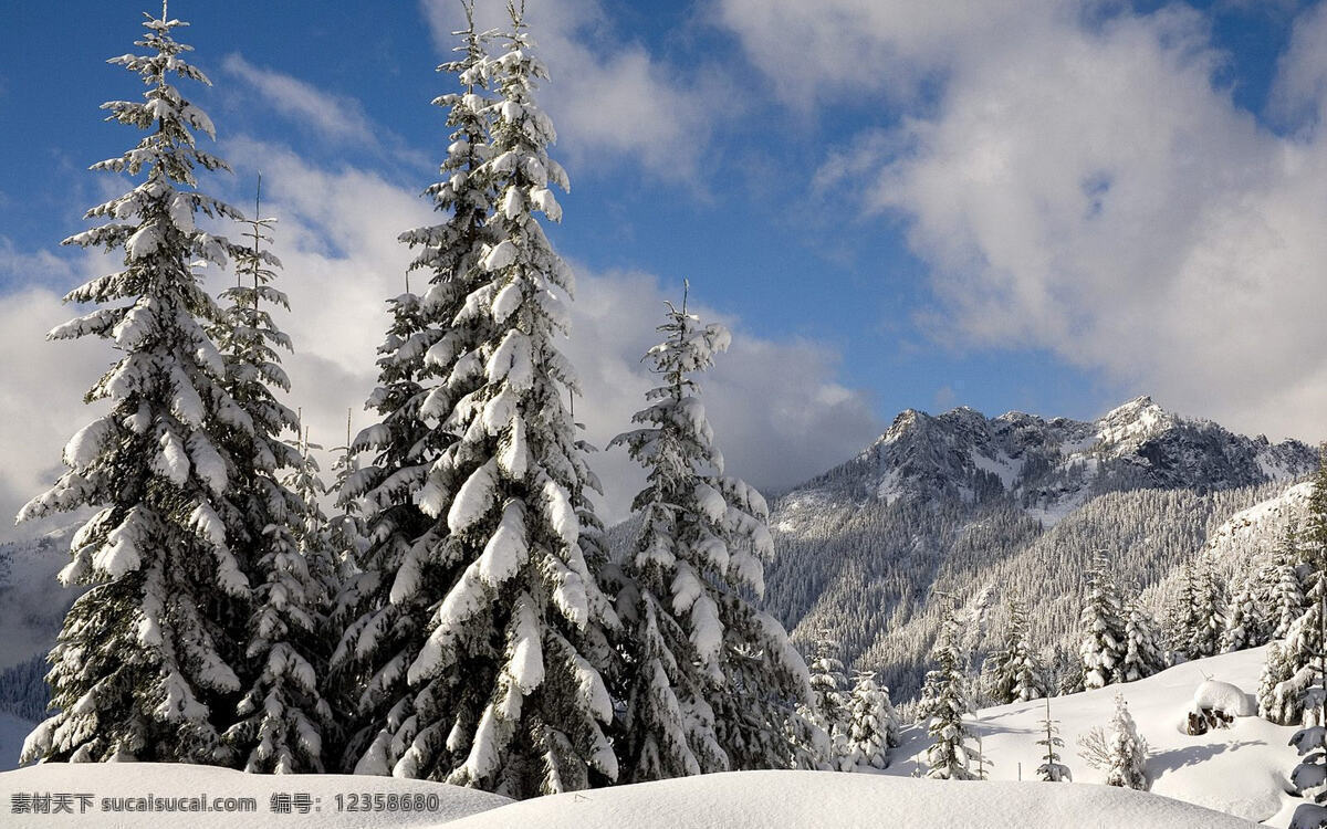 雪景免费下载 冬季 冬天 高原 户外 蓝天 山峰 雪地 雪景 雪松 雾凇 松林 背景图片