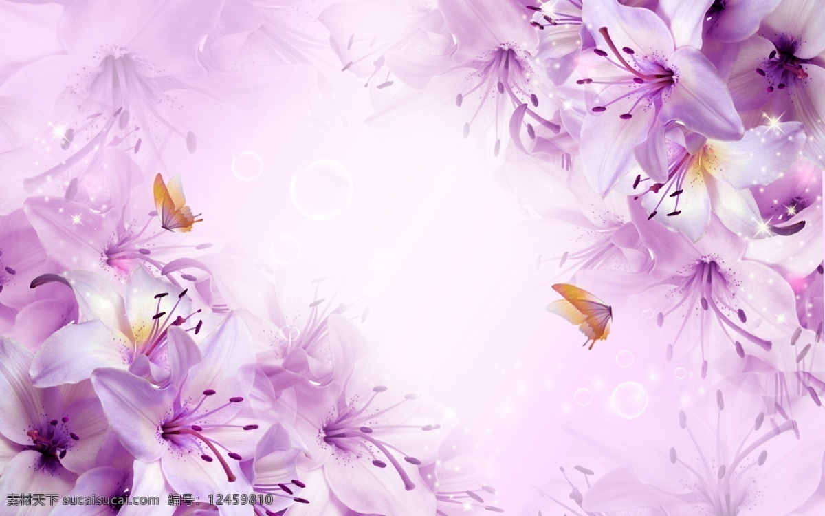 紫色 百合花 背景 墙 百合 花卉 浪漫 鲜花 紫百合 原创设计 原创装饰设计