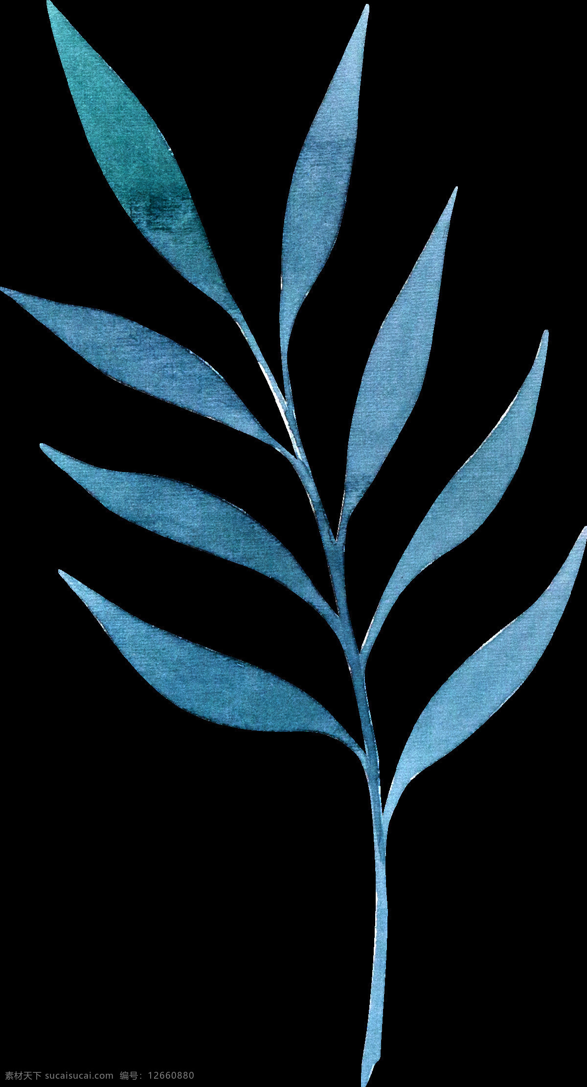 手绘 彩色 叶子 透明 合集 免 扣 插画 黄色 渐变 卡通 蓝色 绿色 绿叶 手账素材 树叶 淘宝