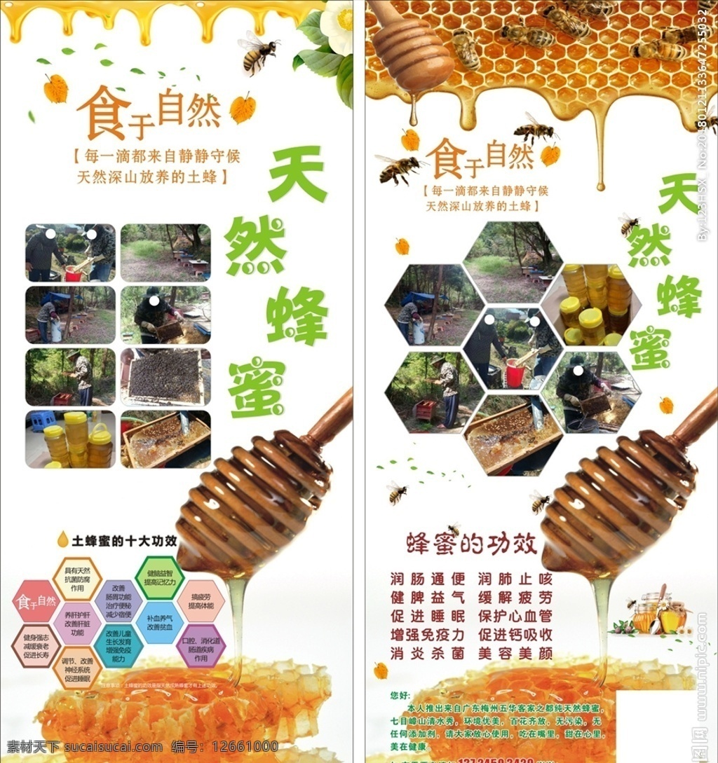 纯天然蜂蜜 土蜂密 蜂蜜海报 蜂蜜制作 蜂蜜图片 蜜蜂图片 蜂蜜功效