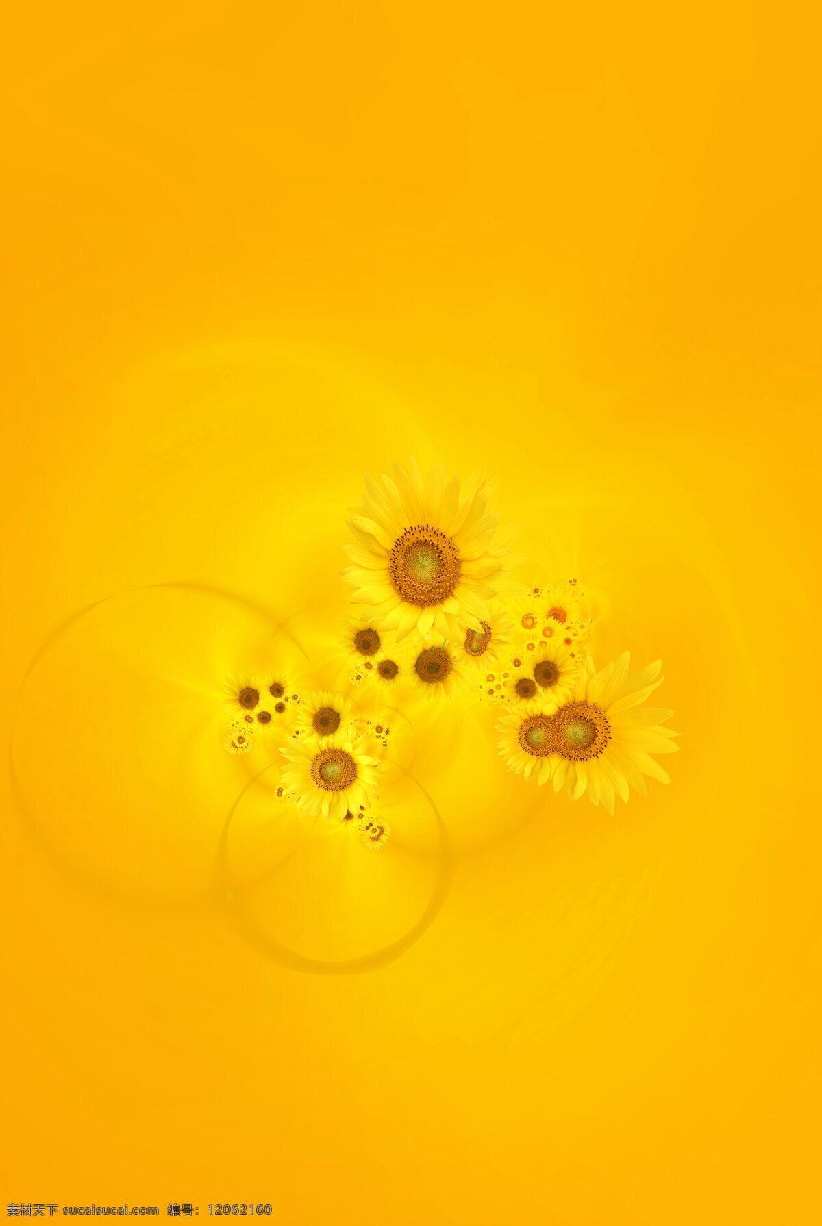 向日葵背景 花朵背景 花朵边框 黄色展板背景 黄色展板底图 黄色展板底纹 黄色底纹 黄色背景 背景