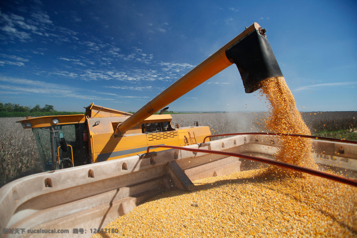 农业 收割 大型 机器 收割机 农用机 粮食 玉米 农田 其他类别 生活百科 蓝色