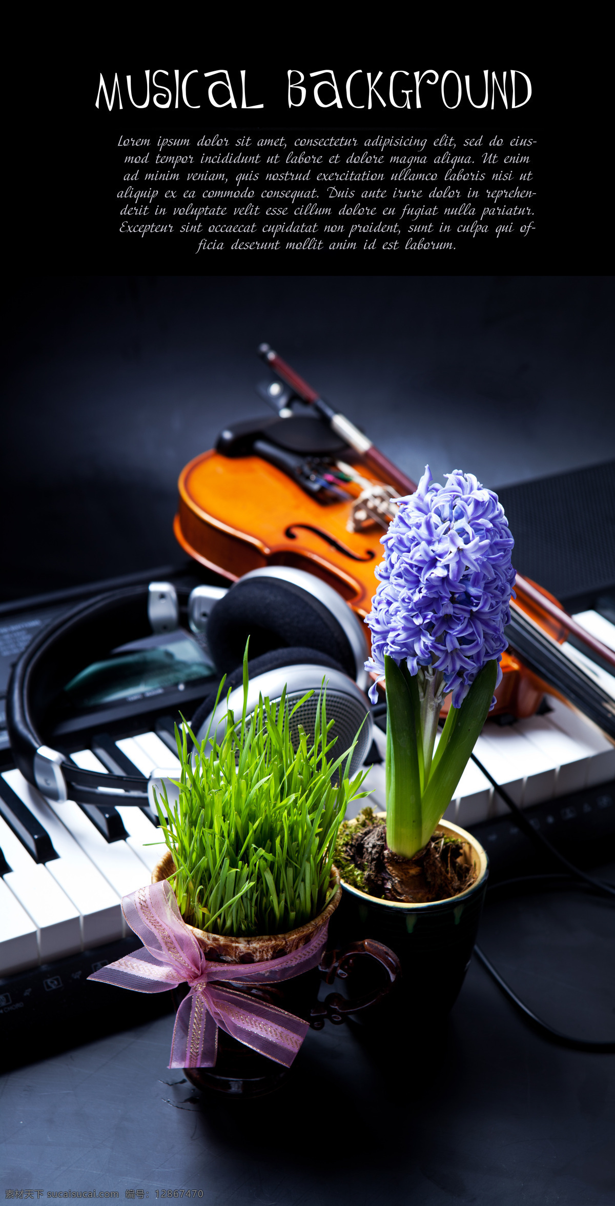 钢琴 绿色植物 小提琴 黑色耳机 乐器 影音娱乐 生活百科