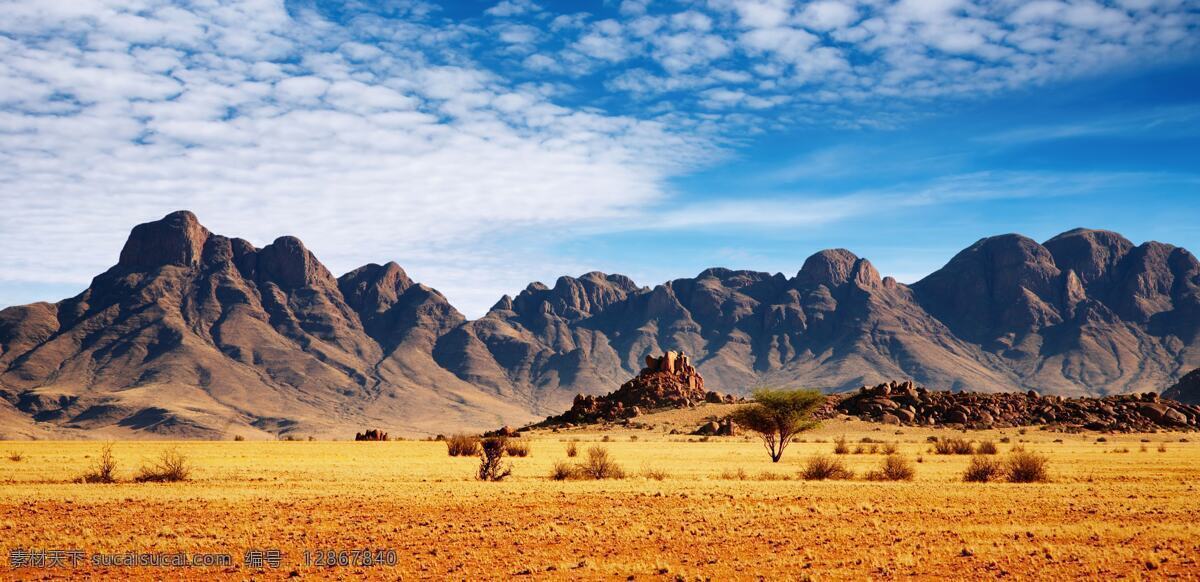 非洲草原 高原 平原风光 山 美丽风景 美景 景色 陆地动物 生物世界 黄色