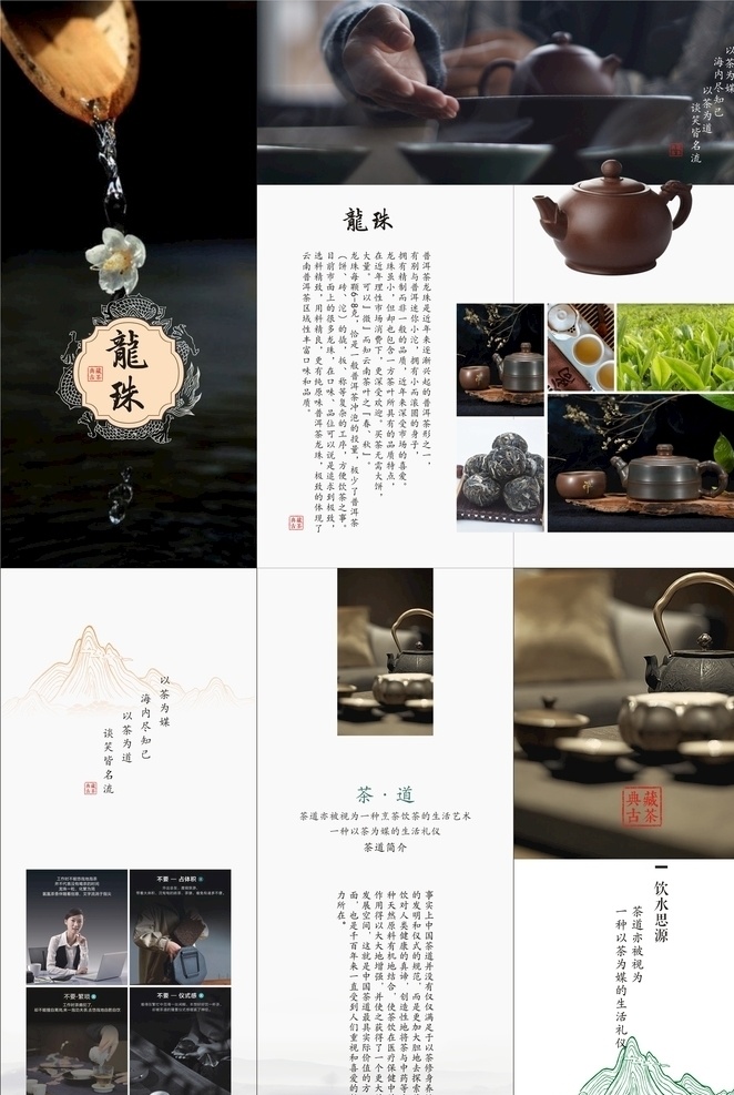 龙珠三折页 普洱茶 龙珠 折页 茶道 工艺 画册设计