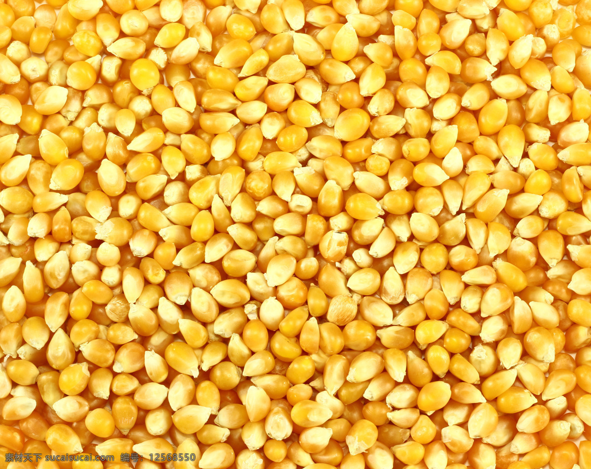 玉米粒 玉米 食物 食品 金黄色玉米 玉米棒 粮食 农产品 食材 食物原料 餐饮美食