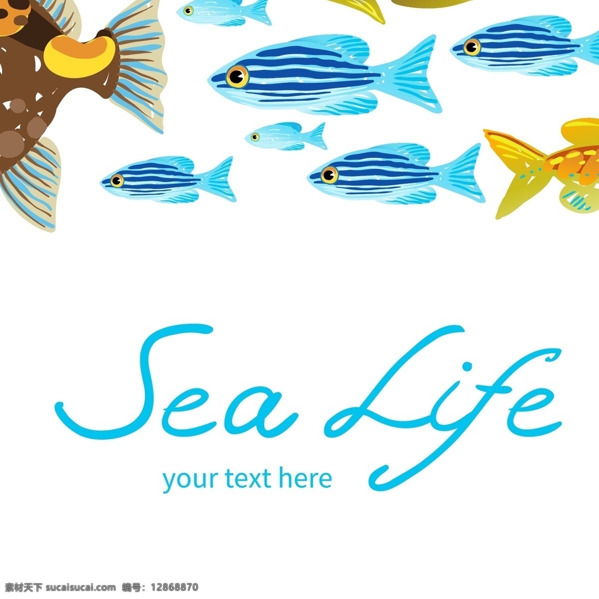 海洋鱼类素材 海洋鱼类 海洋元素 夏日海报 白色