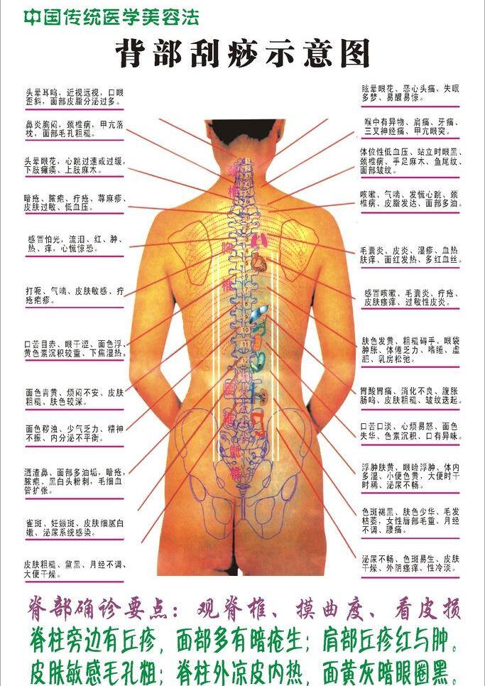 背部 刮痧 示意图 中医按摩 矢量 模板下载 背部刮痧 背部保健 人体保健 穴位保健 针灸刮痧 海报 其他海报设计