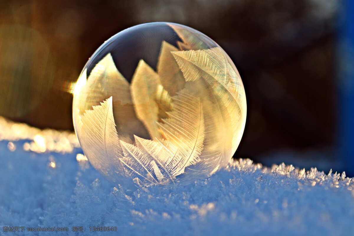 玻璃球 肥皂泡 树叶 弗罗斯特 雪 泡沫 eiskristalle 冬天 感冒 冻结 没有人 室内 特写 白天 锯齿状