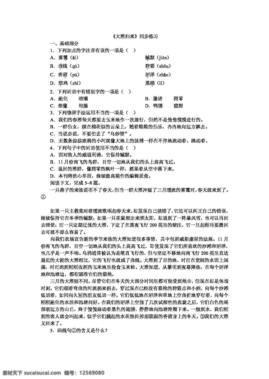 语文 人教 版 课 大雁 归来 同步 练习 七 年级 上 八年级下 人教版 试题试卷