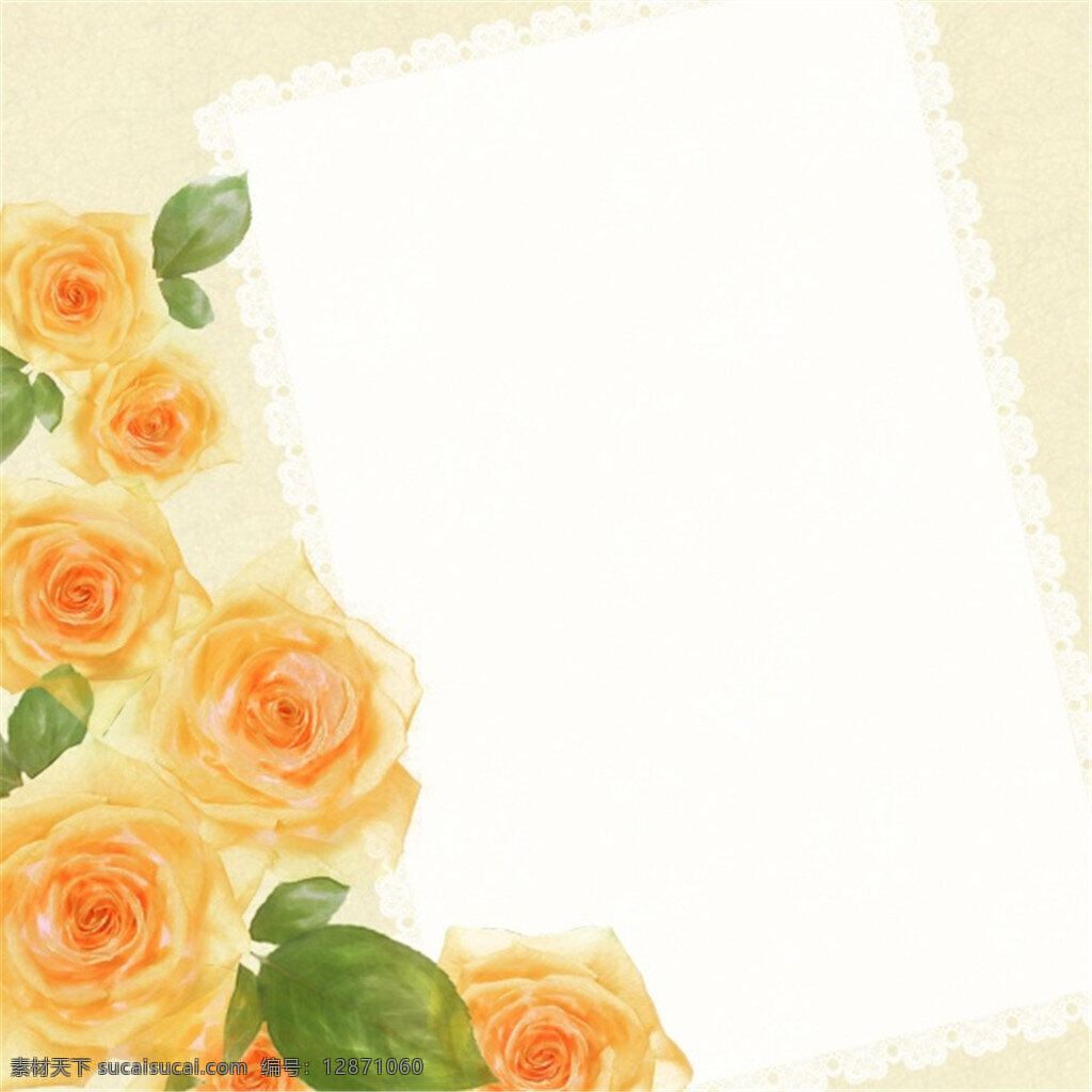 玫瑰花 装饰 相册 边框 光点 鲜花 花朵 相框背景 欧式相框 华丽相框 底片模板 装饰框 照片模板 像框 底纹 白色