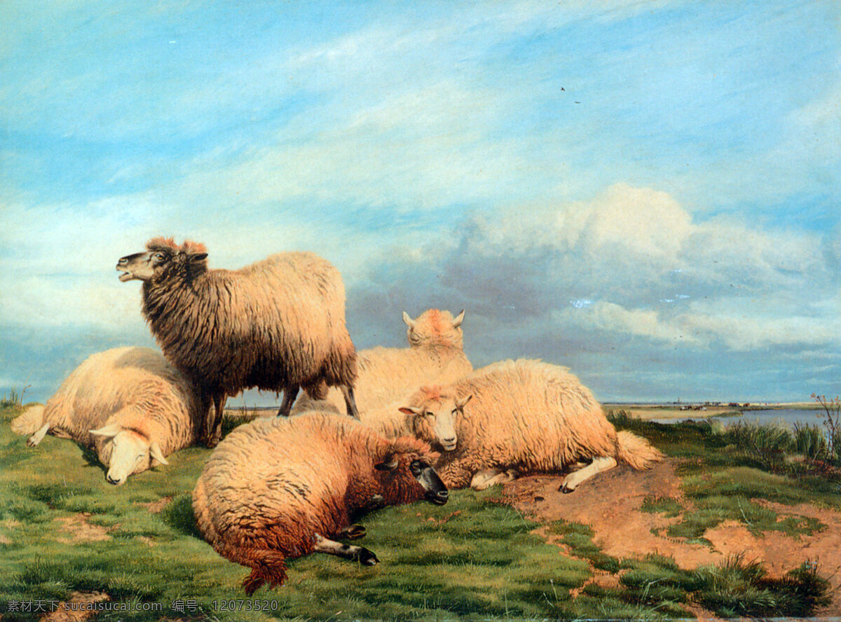 草原 上 羊 油画 油画写生 动物油画写生 草原风景 绘画艺术 装饰画 书画文字 文化艺术