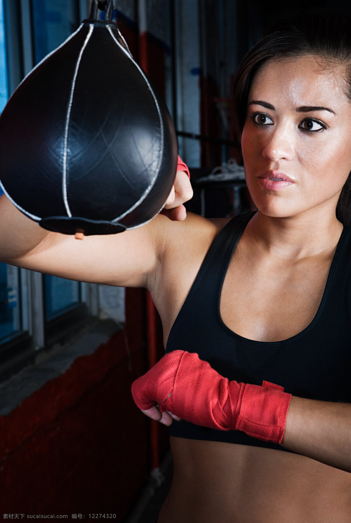 打着 皮袋 训练 女 拳击手 自信 拳击 搏击 力量 女人 肌肉 高清图片 商务人士 人物图片