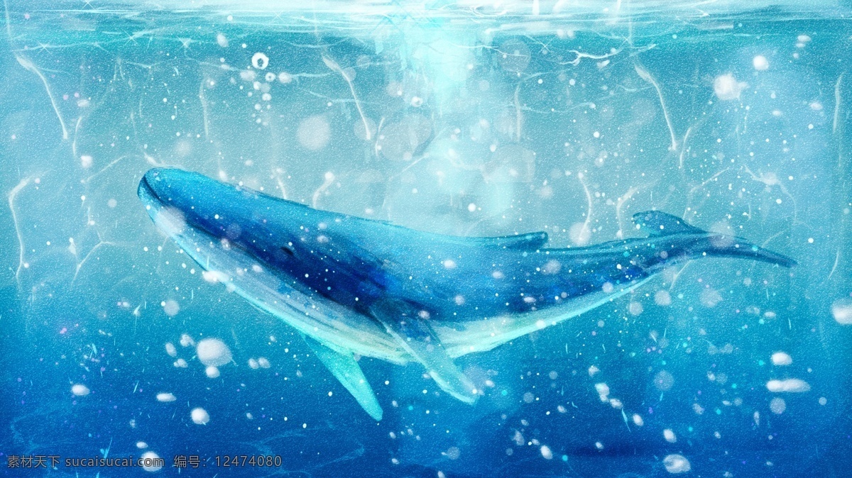 唯美 大海 鲸 治愈 系 鲸鱼 海洋 海蓝 时见 插画 壁纸 深海 大海与鲸 治愈系 手机配图 海蓝时见鲸