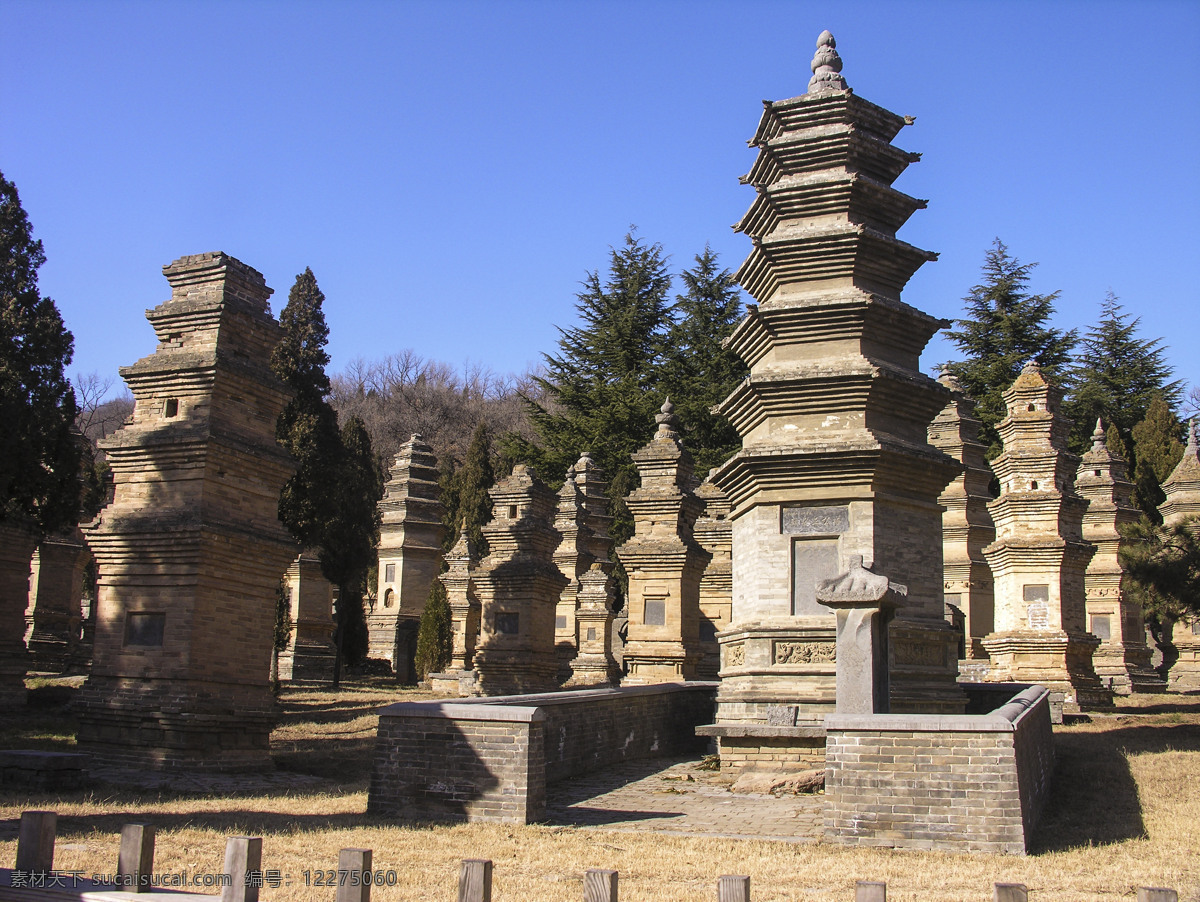 少林寺 嵩山 塔林 砖塔 和尚墓 旅游摄影 国内旅游 黑色