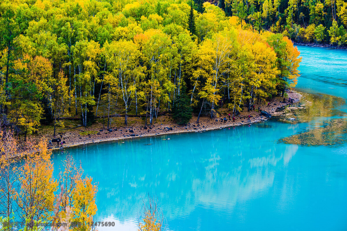 美丽 湖边 风景图片 湖泊 湖面 湖水 树木
