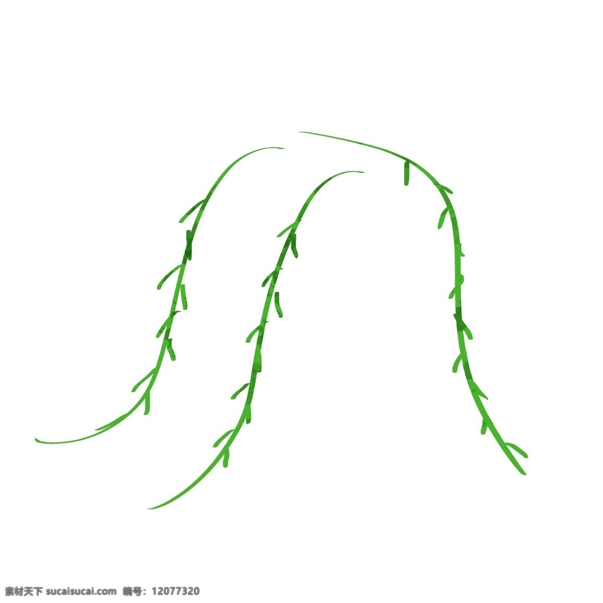 手绘 插画 风格 柳 肌理 树枝 扁平 卡通 装饰 图案 手绘植物图案 绿色植物