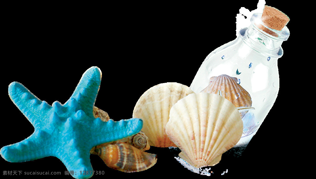 海王星 漂流瓶 贝壳 海螺 沙滩