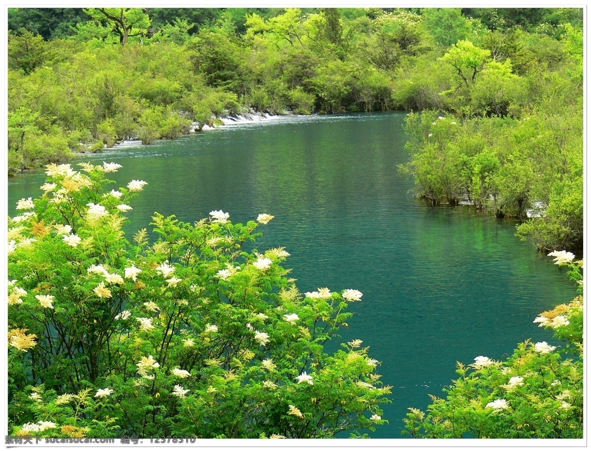 九寨之水 九寨沟 五花海 湖水 绿树 湖水倒影 九寨沟风光 自然风景 自然景观