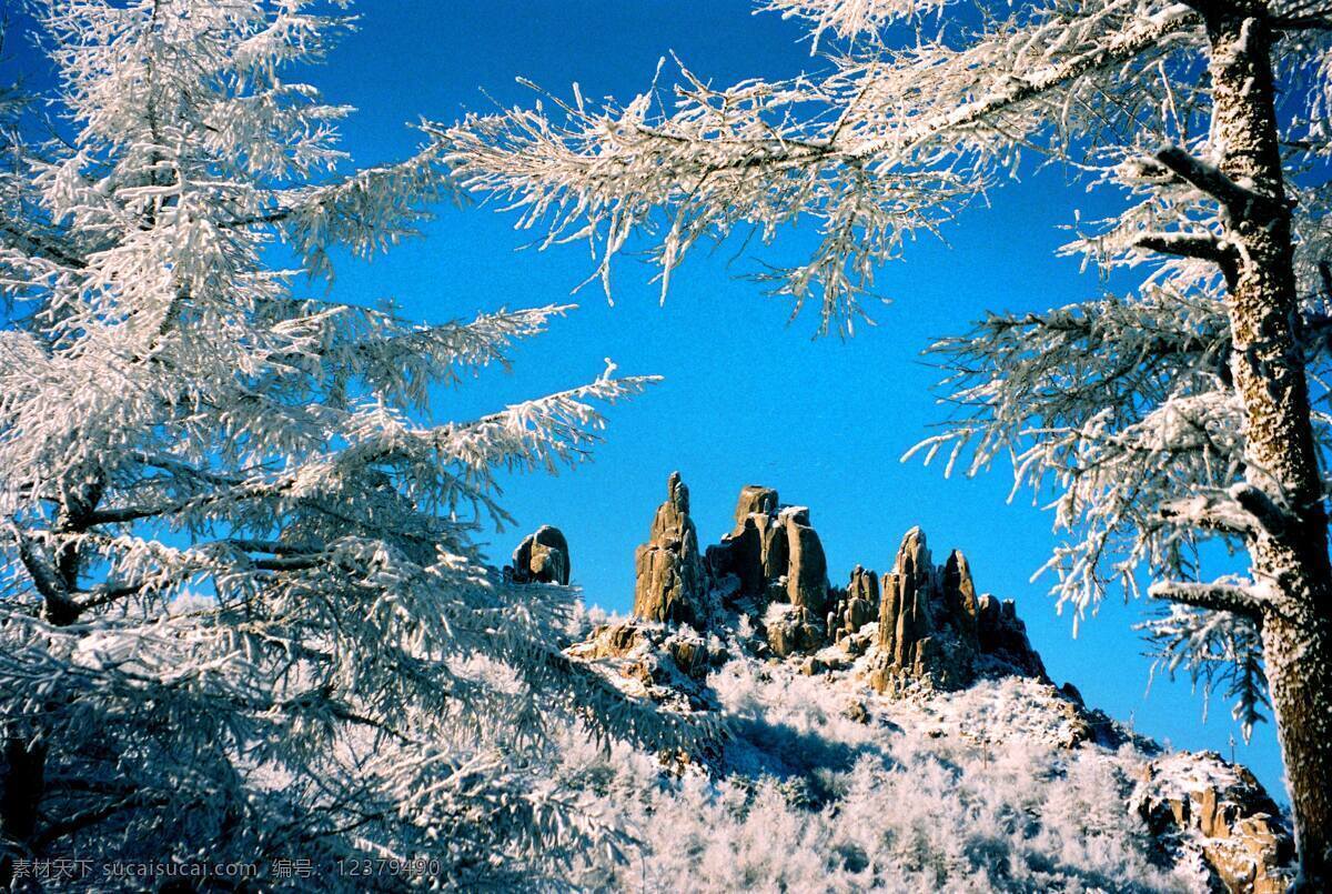 崂山风景 崂山雪景 雪松 山坡 大雪 旅游摄影 国内旅游 摄影图库