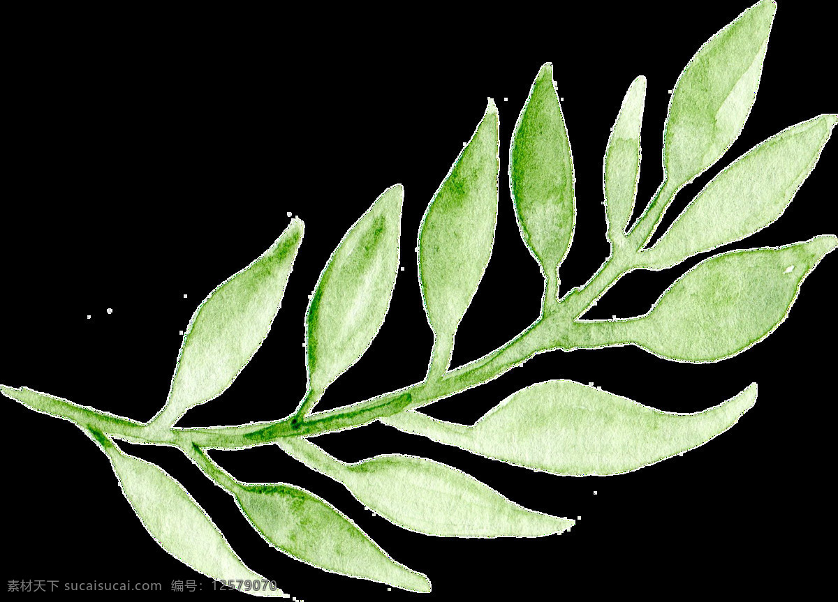 茂密 树枝 卡通 透明 树叶 抠图专用 装饰 设计素材
