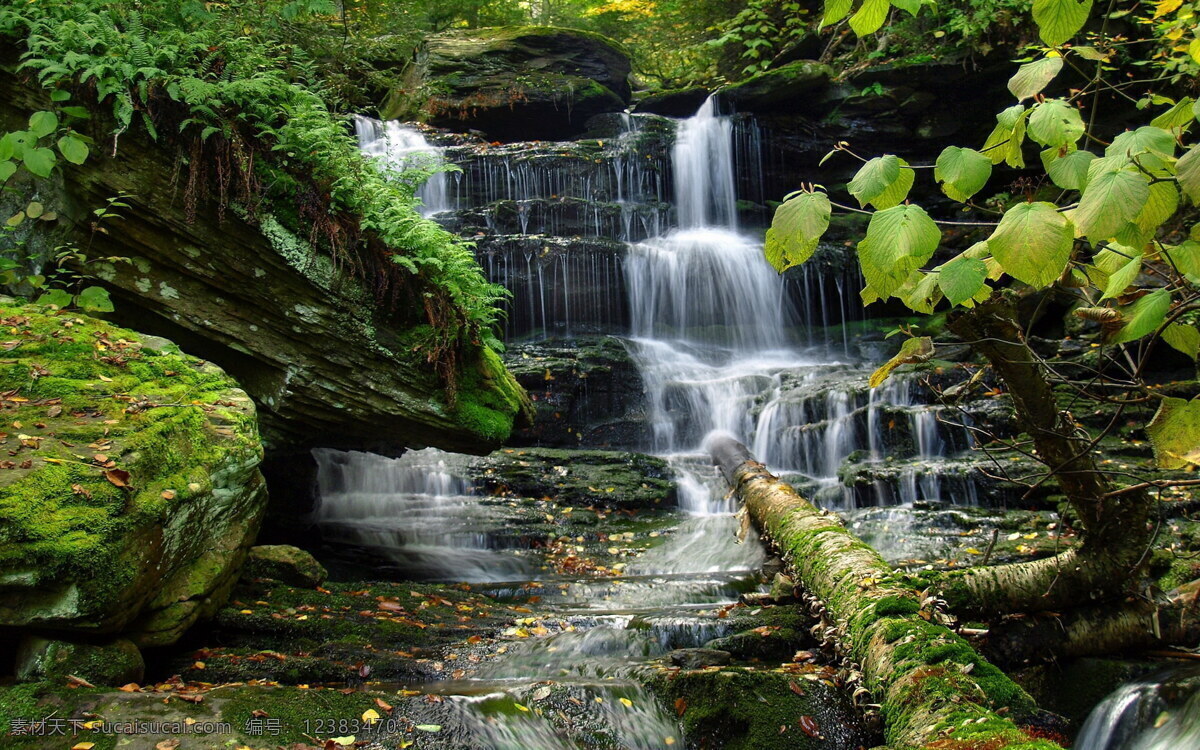 瀑布 树林 湖泊 湖水 自然 自然风景 自然景观