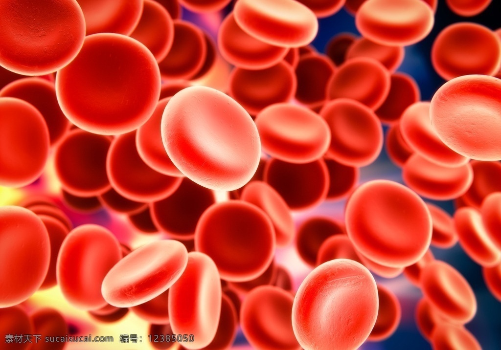 血红细胞 3d 医学研究 血液 科学 显微状态 生活百科 医疗保健
