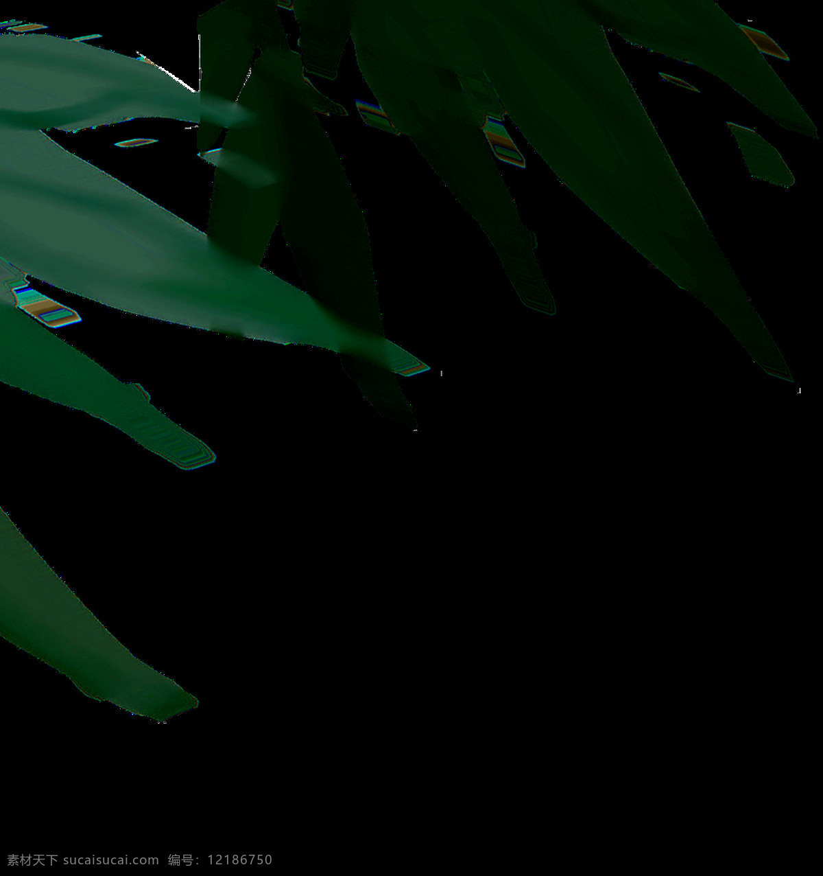 竹叶透明素材 海报设计装饰 抠图专用 绿色 设计素材 淘宝素材 透明素材 竹叶 装饰 装饰图案