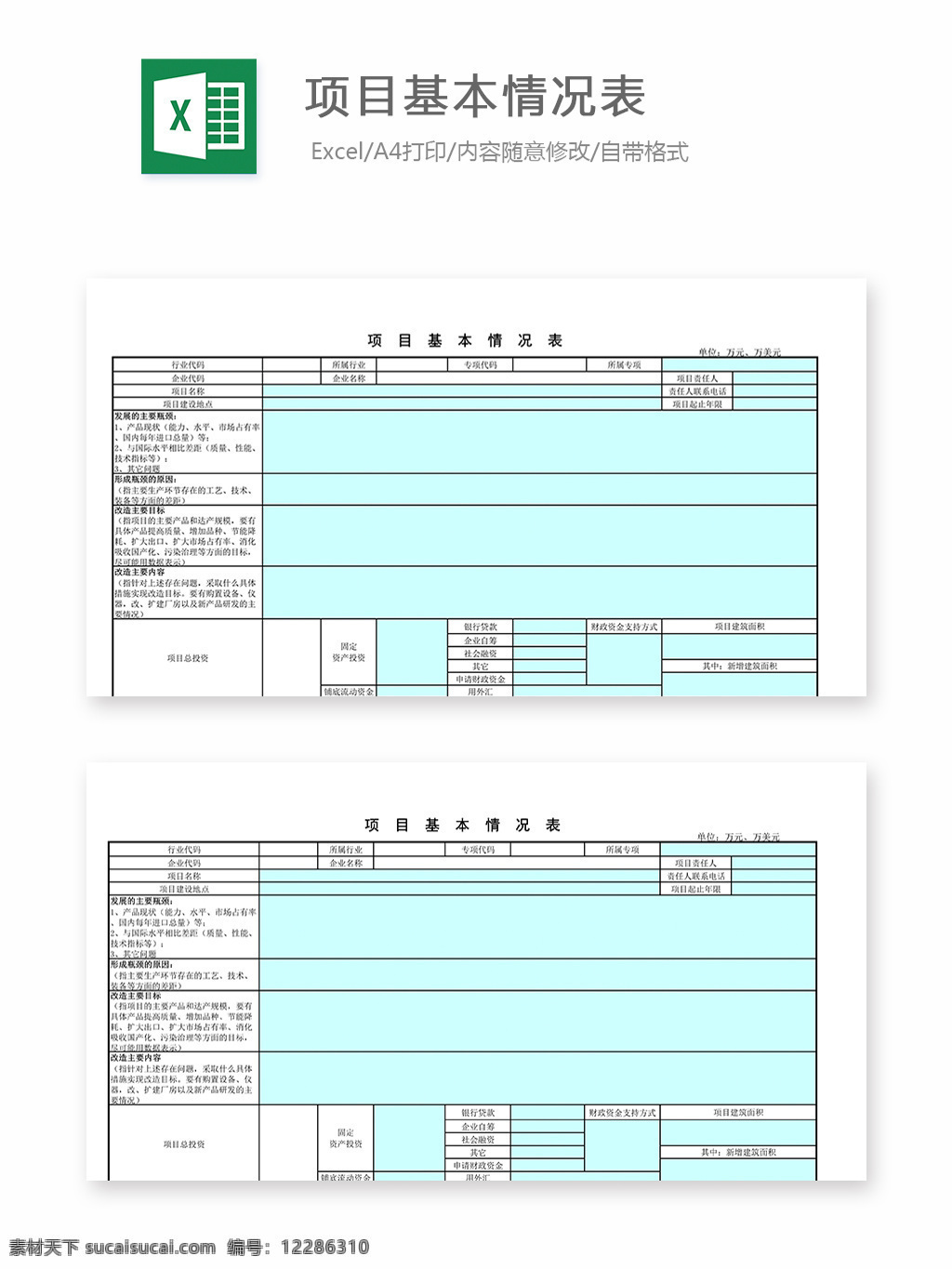 项目 基本 情况表 表格 表格模板 表格设计 图表