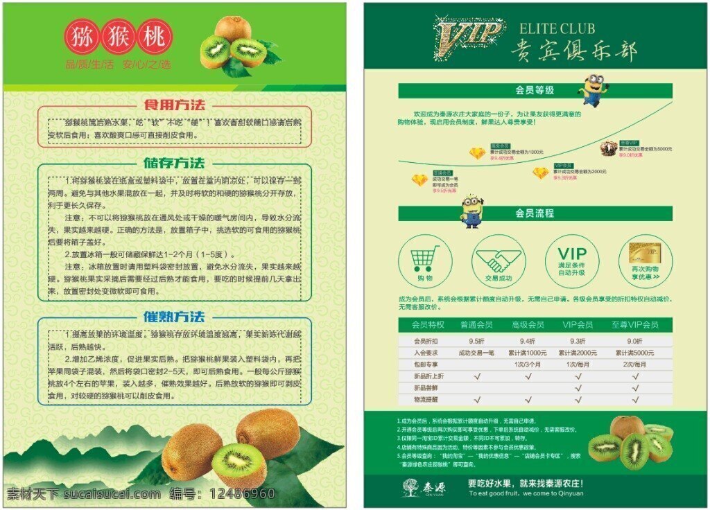 猕猴桃 使用方法 山 会员 贵宾 vip 食用方法 黄色