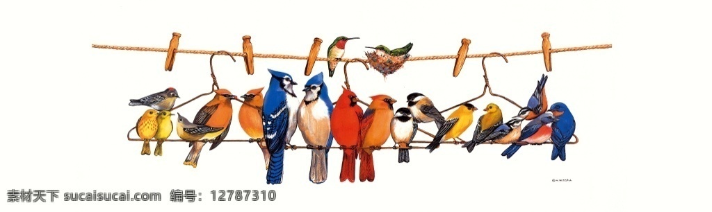 手绘 彩绘 各种 小鸟 站立 电线杆 上 装饰画 各种小鸟 密密麻麻 站立在