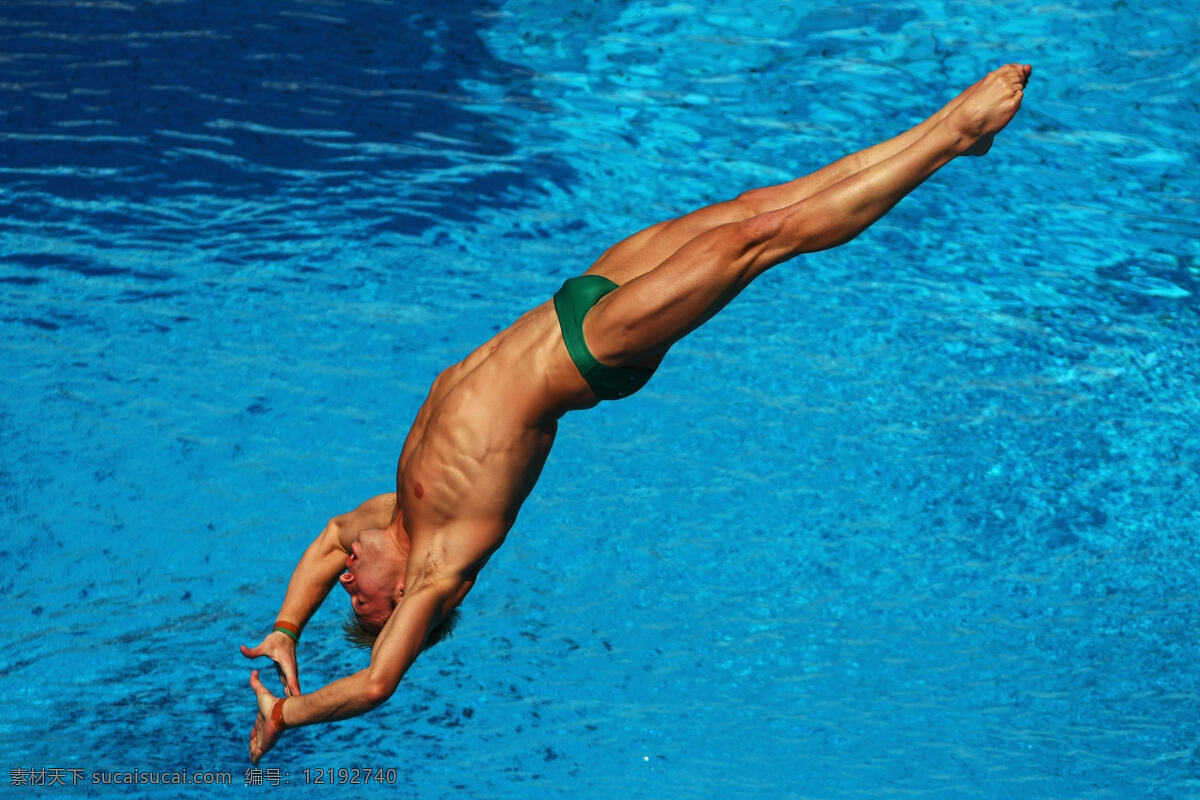 游泳 跳水 运动员 运动项目 游泳池 文化艺术 体育运动