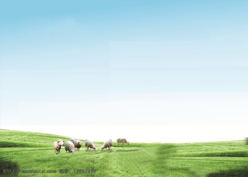 天空草原牛羊 蓝天白云 绿色草原 天空 牛羊 草原