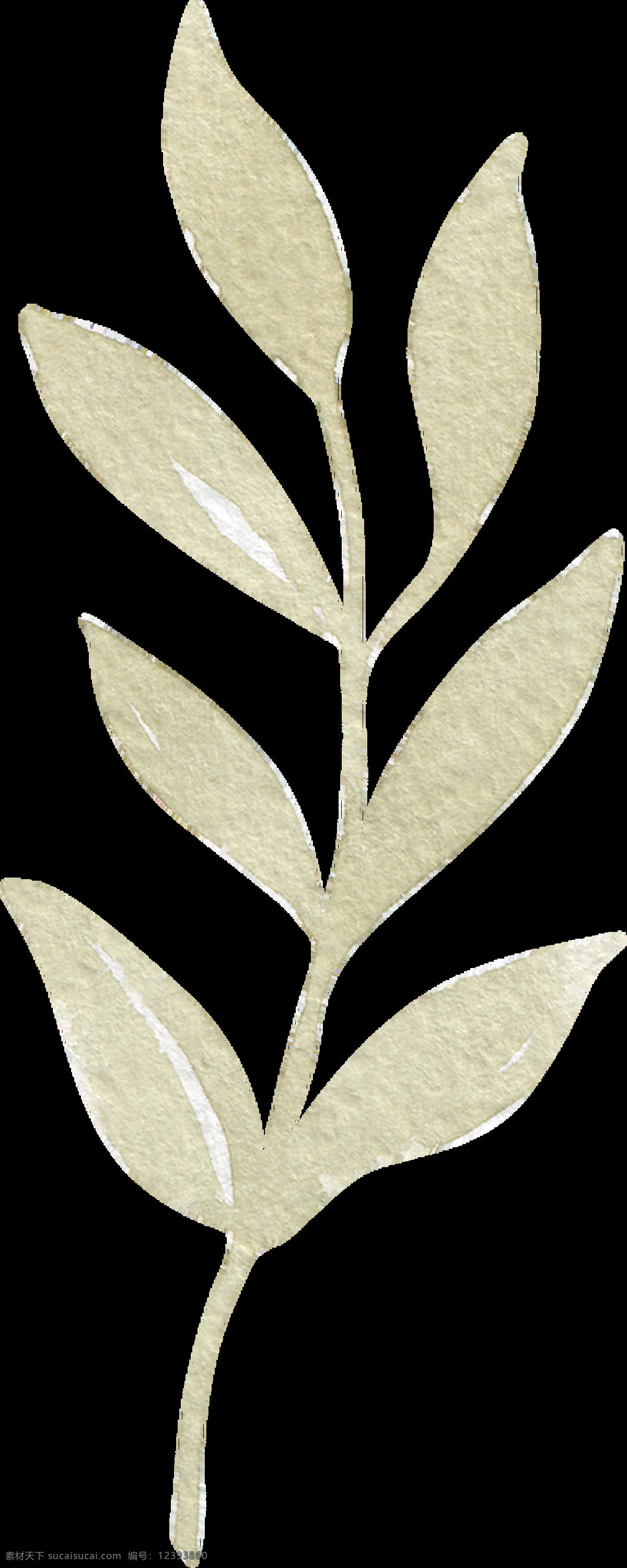 灰 镜 花叶 卡通 水彩 透明 树枝 植物 透明素材 免扣素材 装饰图案
