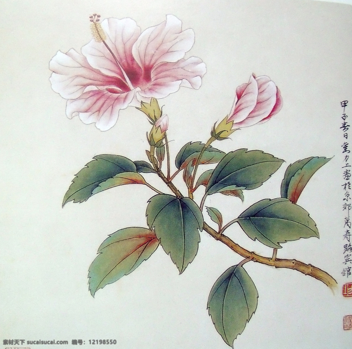 彩色 鲜花 插画 国画 油画 装饰画 手绘 彩绘 无框画 抽象 艺术 底纹背景 书画文字 文化艺术