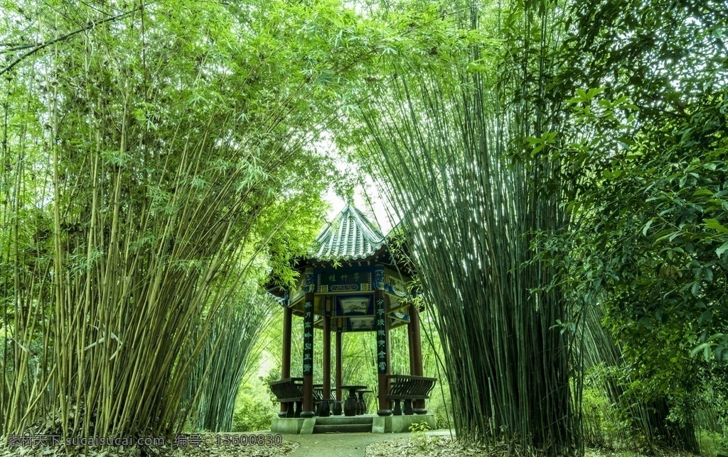 竹林凉亭 竹林 楠竹之乡 竹 竹子 毛竹林 毛竹 亭子 凉亭 亭台楼阁 生物世界 树木树叶