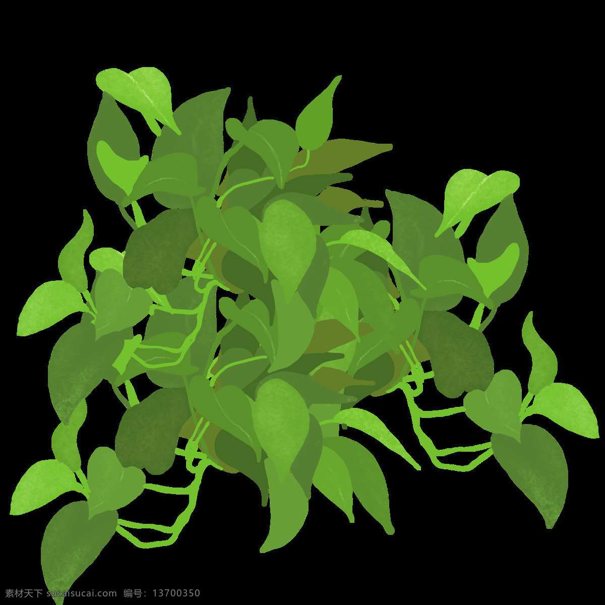 绿色 免扣素材 水彩 透明素材 油墨画 植物 装饰图案 手绘 绿 萝 透明 麒麟叶