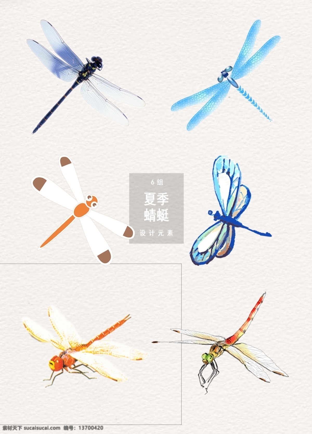 夏季 蜻蜓 免 扣 立夏 夏天 蜻蜓素材