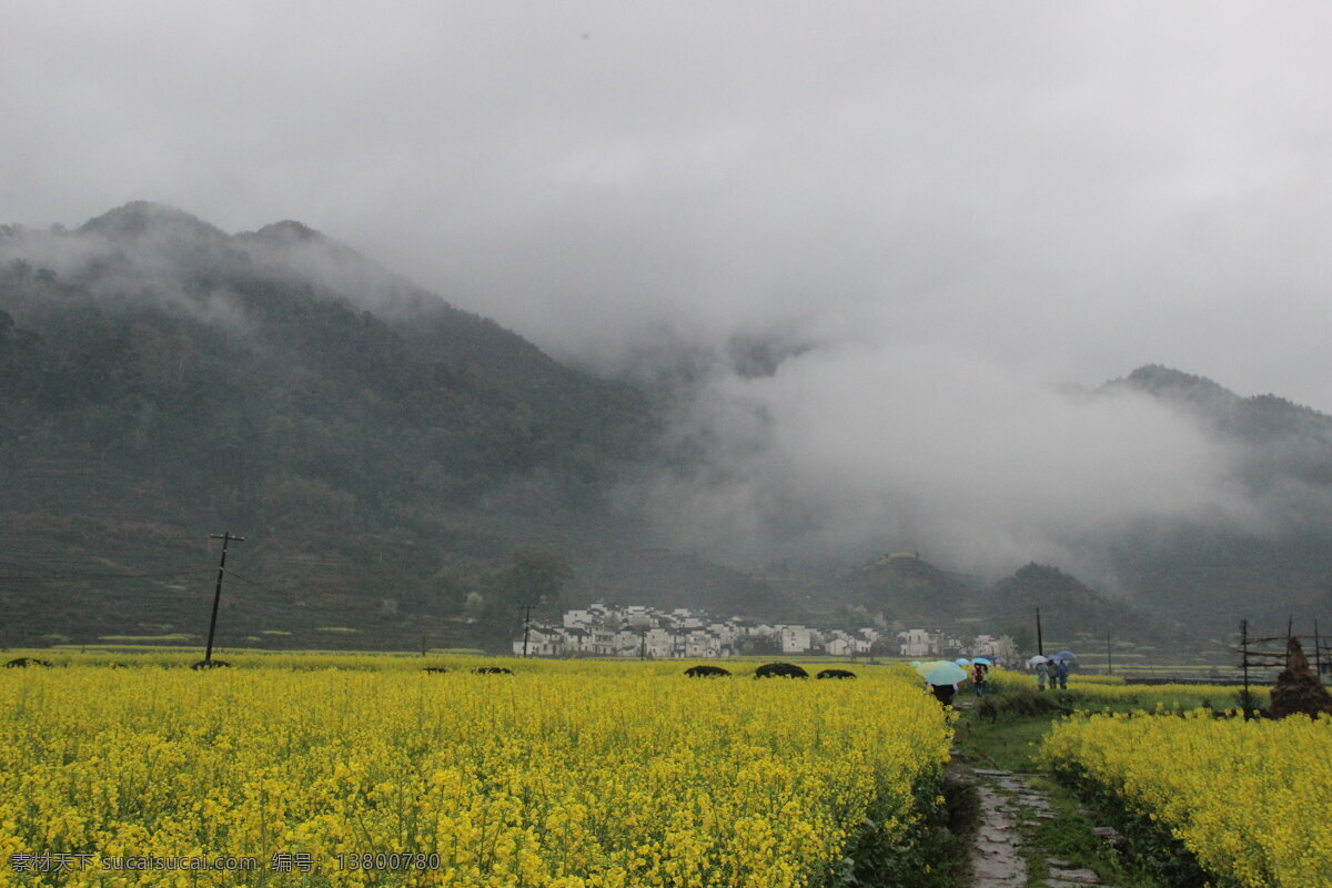 婺源风光 婺源风景 乡村自然风光 婺源 油菜花 婺源摄影 婺源游记 江西婺源 乡村摄影 古镇 小镇 乡村 田园风光 古徽州 风景 江西风景 婺源油菜花 旅游摄影 国内旅游