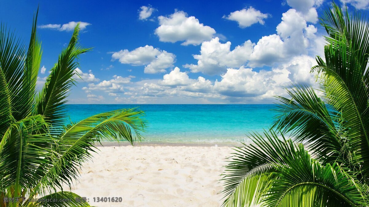 海滩 风景 背景 广告背景图 背景图片下载 矢量背景图 创意背景图 矢量图 淘宝背景图 banner 风景背景图 椰树 沙滩