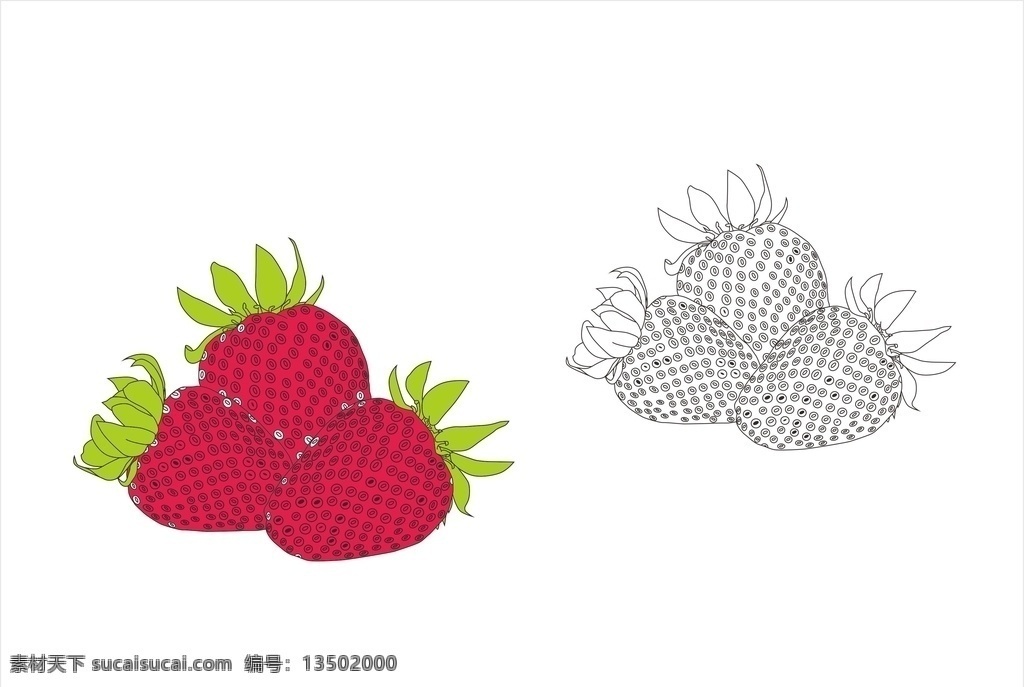 草莓图片 莓 草莓 植物 食物 水果 草本植物 矢量图 生物世界