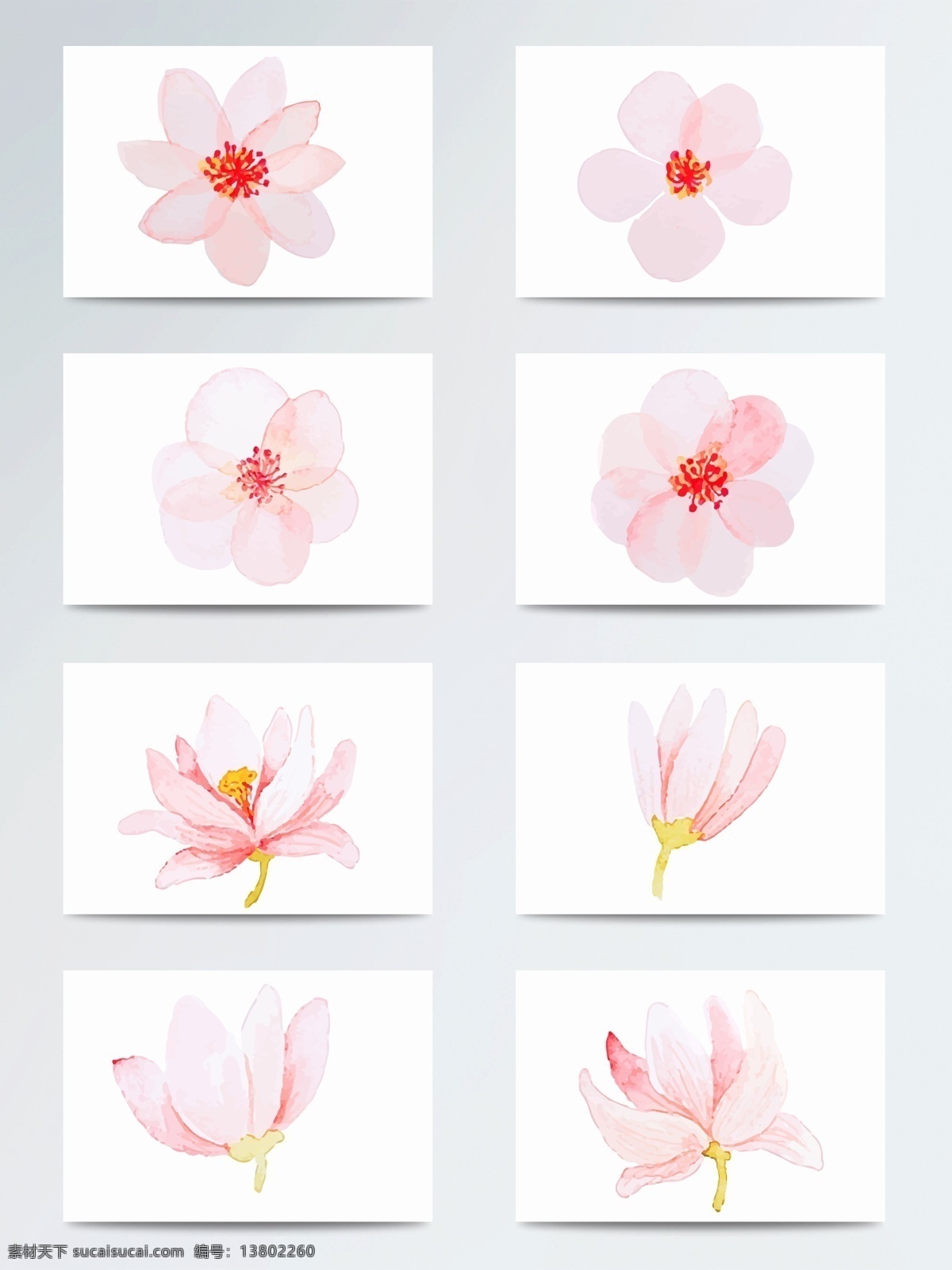 淡雅 粉色 水彩 桃花 花朵 花卉 春天 唯美 惊蛰 节气 桃花枝 樱花 手绘樱花 手绘桃花 ai格式 手绘花卉 春节元素 春季 水彩桃花