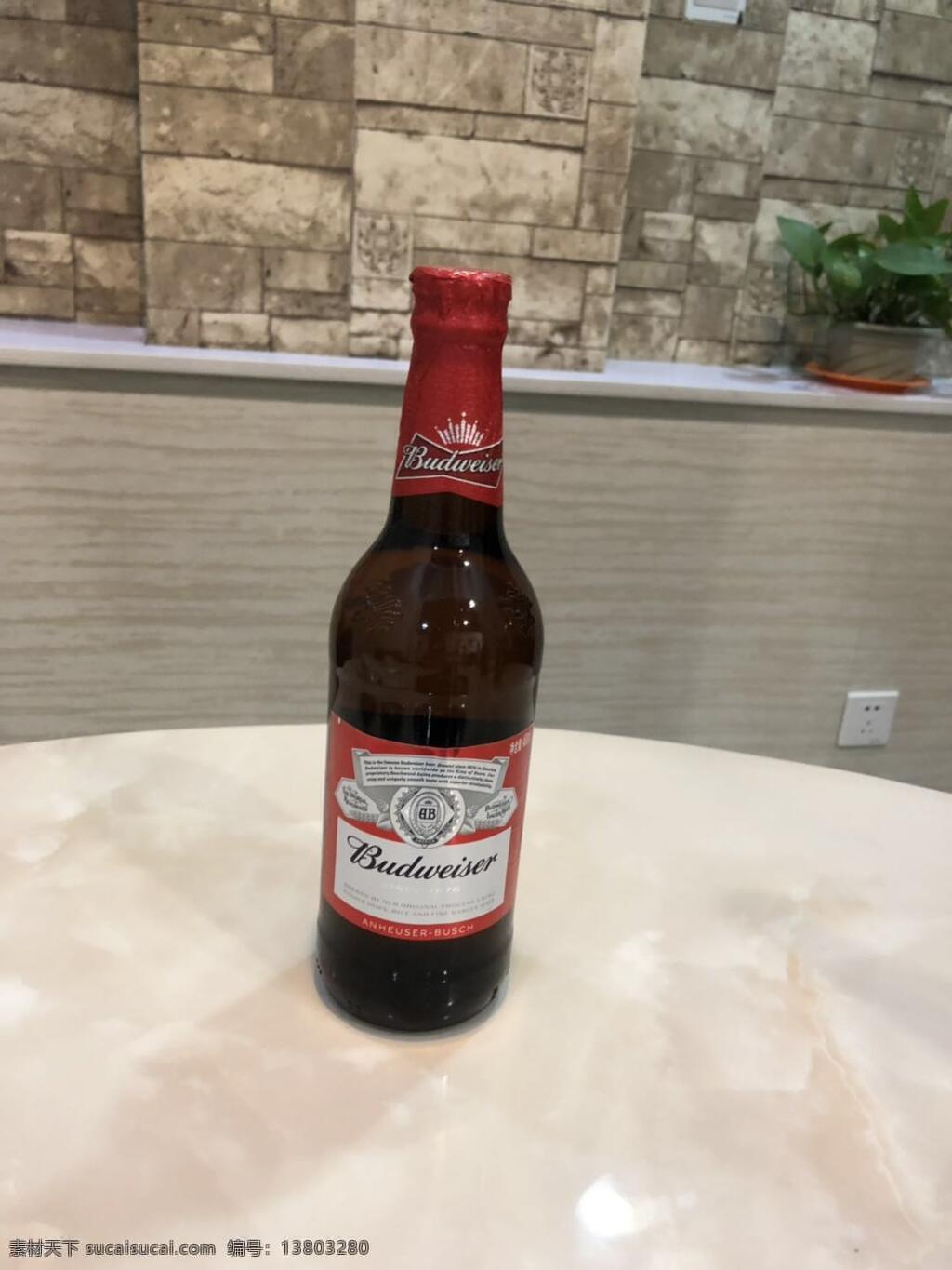 百威啤酒 拍摄照片 酒瓶 酒品 单酒 餐饮美食 饮料酒水