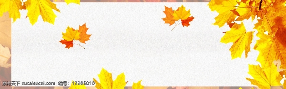 秋收 枫叶 唯美 立秋 banner 背景 促销 黄色 秋天 秋装 篮子 麦穗 二十四节气 中国传统文化 落叶 初秋上新 秋季 秋