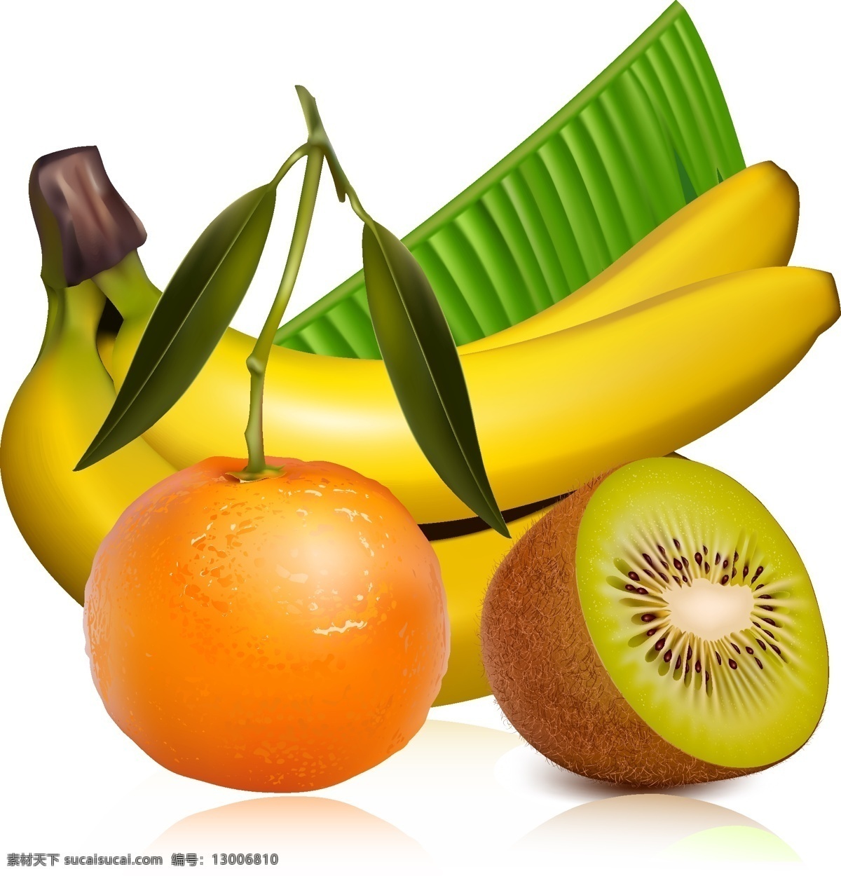 矢量水果元素 矢量 橙子 香蕉 猕猴桃 水果 ai元素 免扣元素