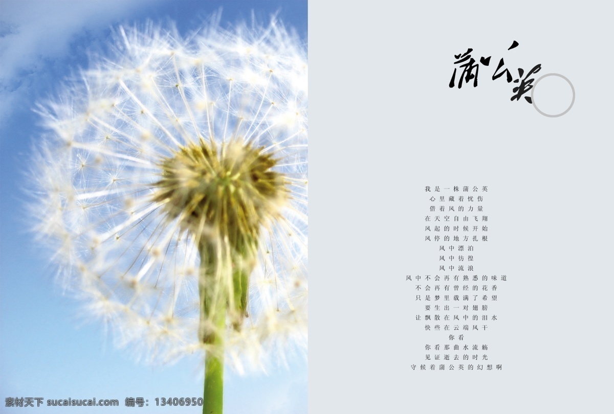蒲公英 dm宣传册 诗 宣传单 dm宣传单 广告设计模板 源文件