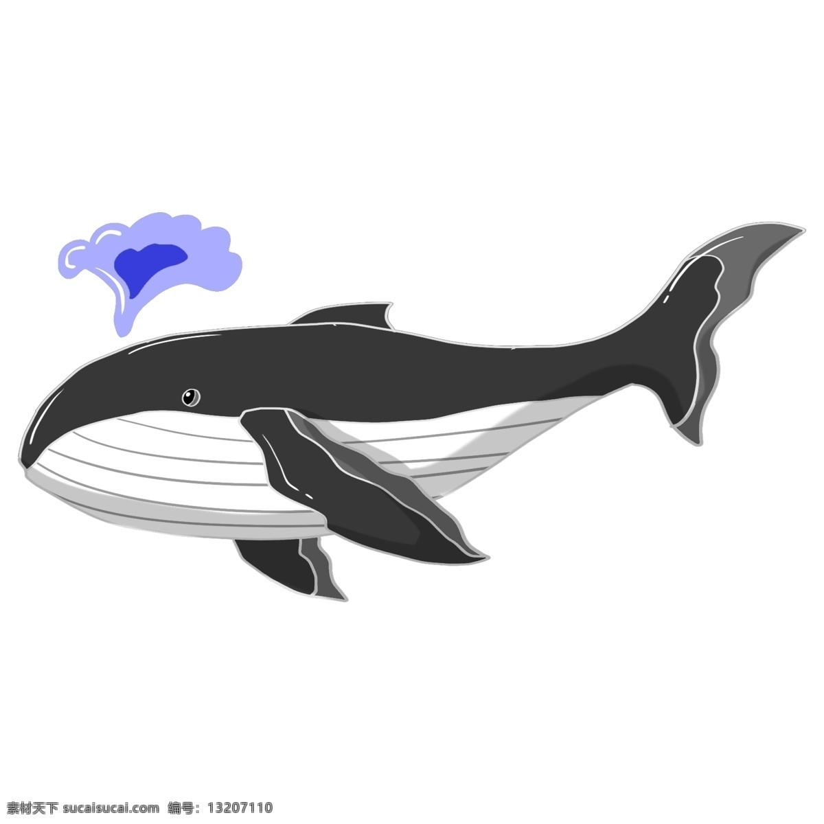 黑色 戏水 鲸鱼 插画 黑色的鲸鱼 手绘鲸鱼 游动的鲸鱼 海洋动物 喷口水的鲸鱼 蓝色的口水