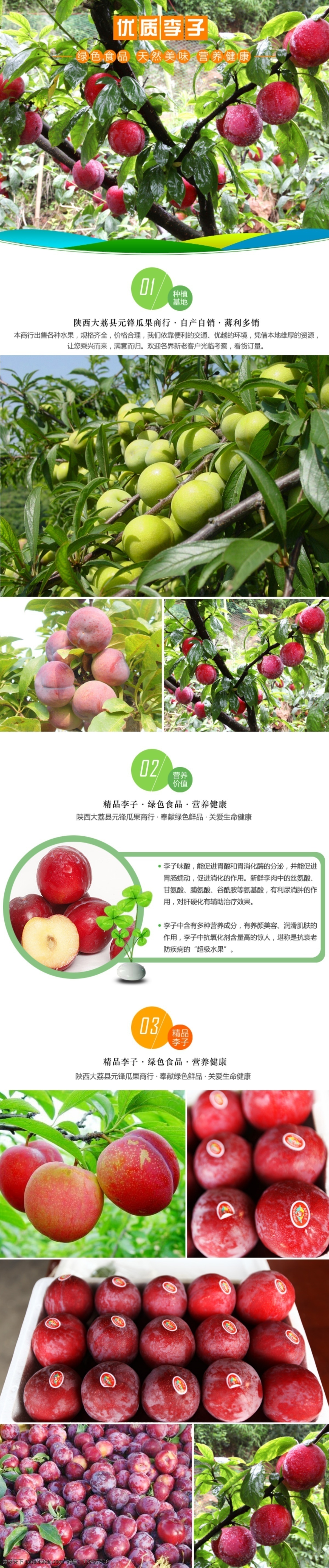 淘宝 水果 李子 详情 商品 店铺 宝贝 详情页 详情设计 详情模板 淘宝水果详情 共享设计 web 界面设计 中文模板