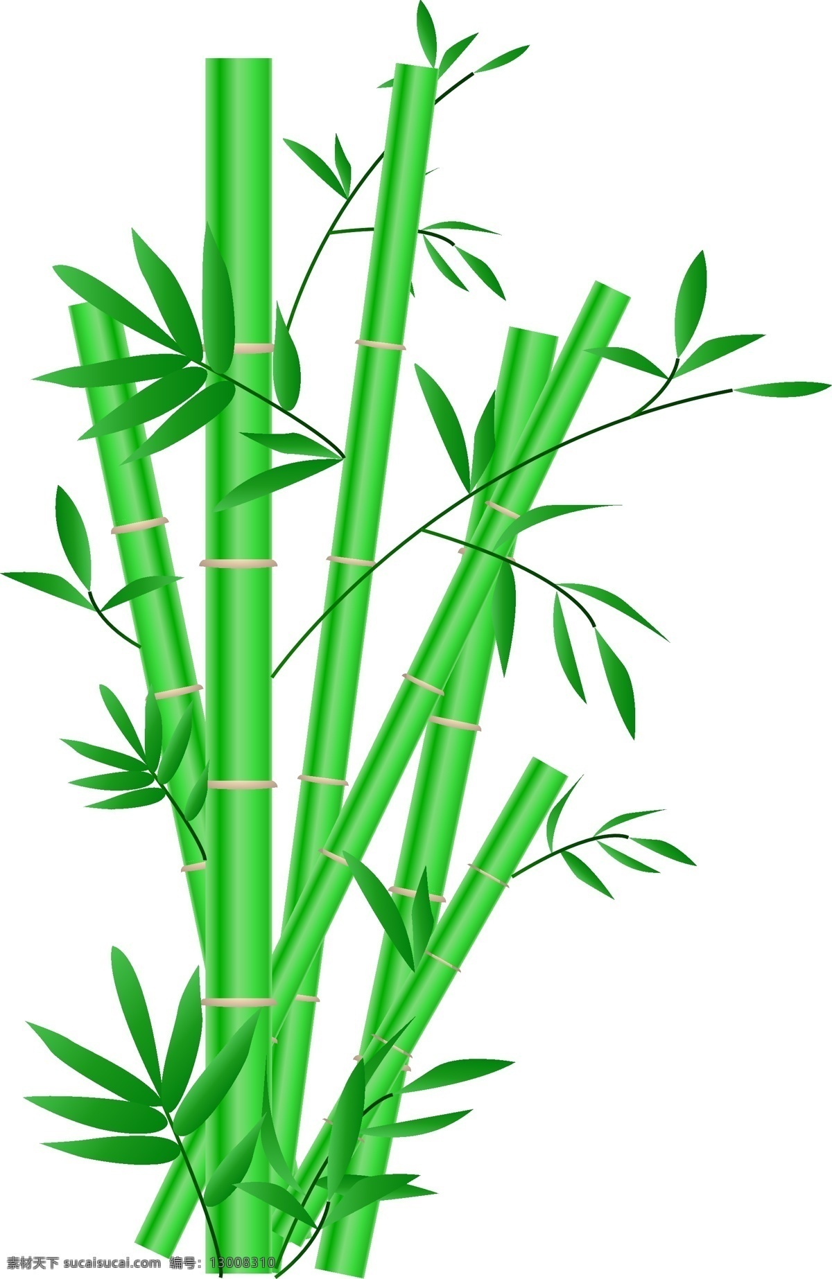 手绘 绿色 竹子 插画 手绘卡通 中国风 翠竹 手绘竹子插画 文征明的竹子 写意的绘画 绿色的叶子 绿色的竹子 卡通插画