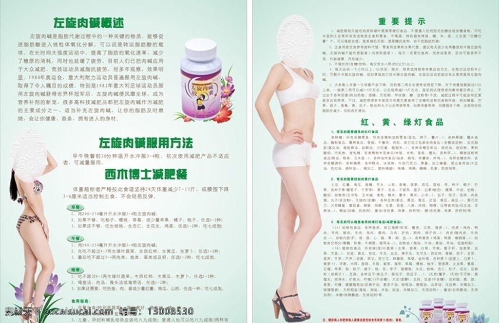 左旋肉碱 概述 提示 减肥 dm宣传单 矢量